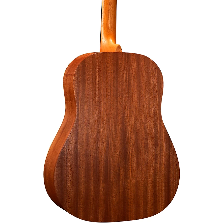 Martin DSS Biosphere II Dreadnought Acoustic Guitar Whale