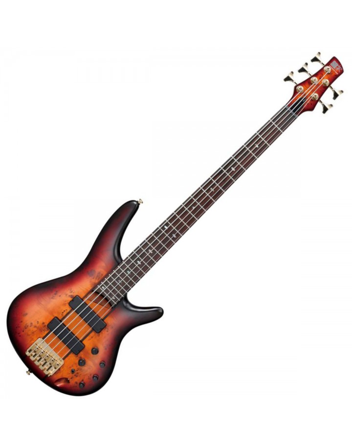 Ibanez SR805 Debut 5 String Bass Guitar - Aged Whiskey Burst Flat
