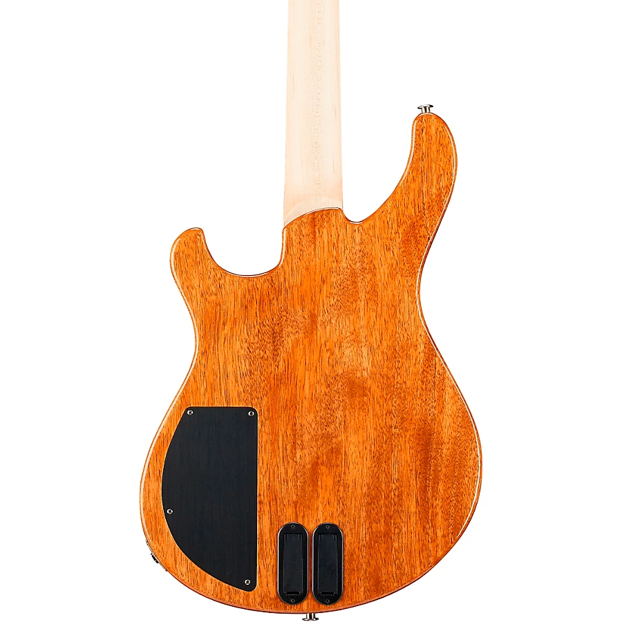 PRS Grainger 4 String 10 Top Electric Guitar Purple Iris